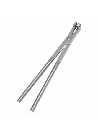 Reinhard Tooth Forceps (SS)